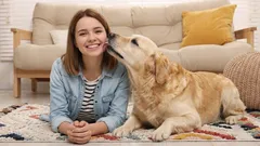 10 bewijzen dat je hond je beschermt